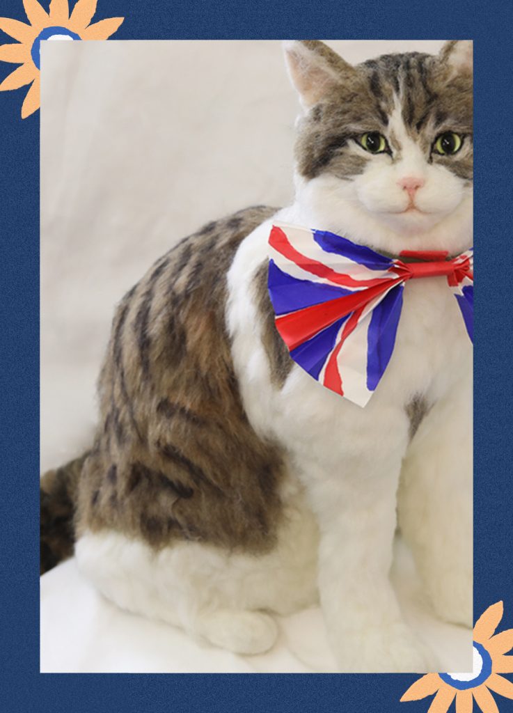 8caf533c 5c7f 40eb 8a53 97eb64f68e11