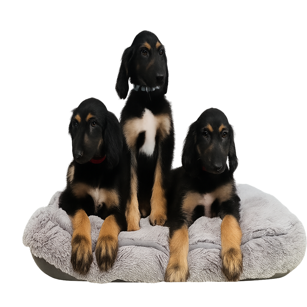 729de47a 166a 43c4 bf7c f4991ed1d17f