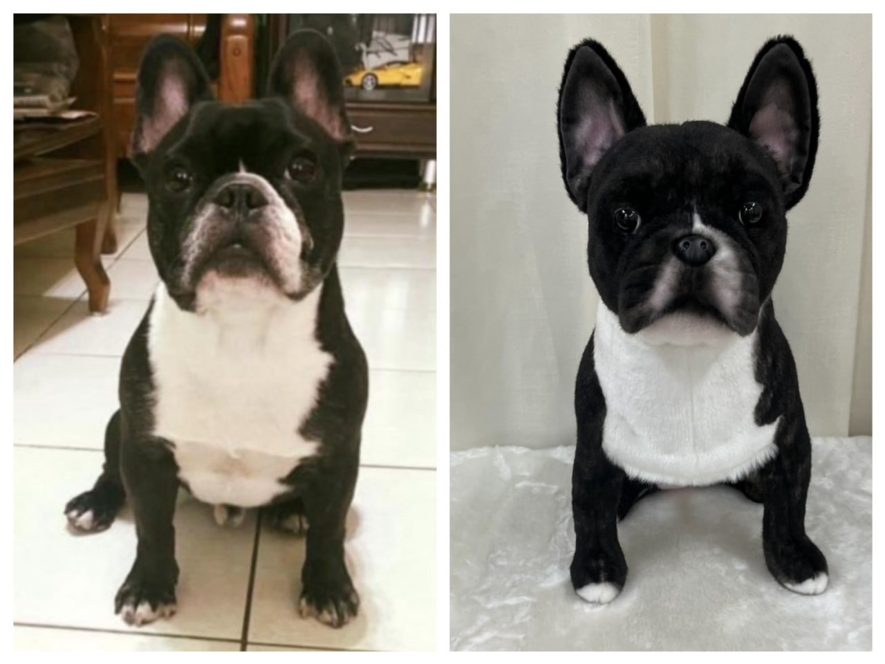 photo 2025 11 01 01 51 59