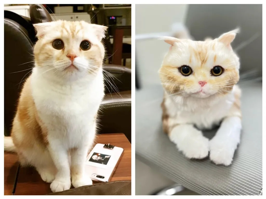 photo 2025 11 01 01 52 22