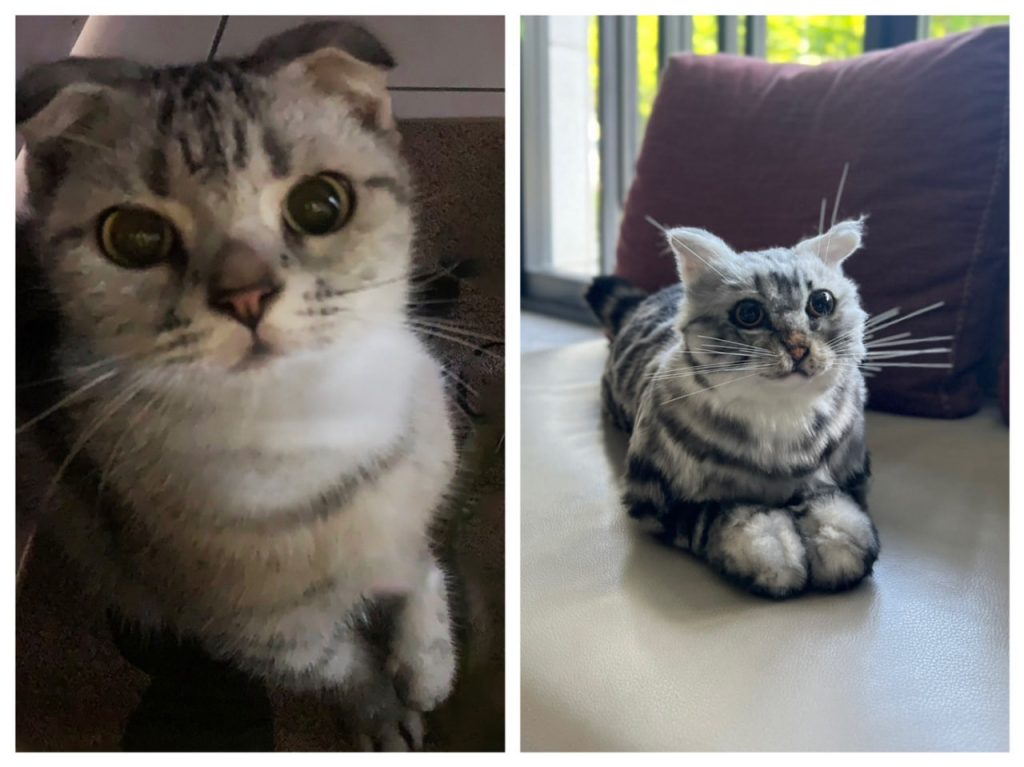 photo 2025 11 01 01 52 14