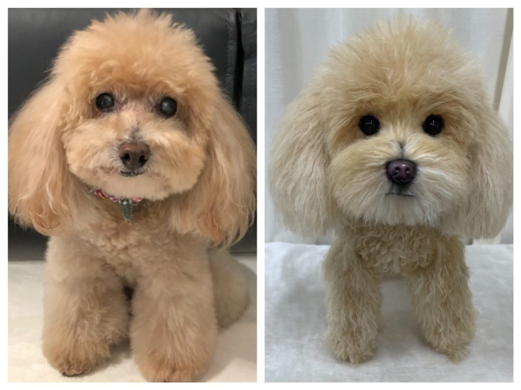 photo 2025 11 01 01 52 04