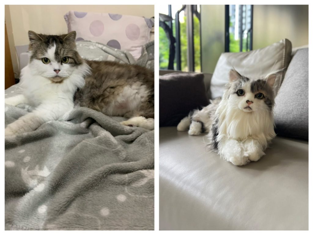 photo 2025 11 01 01 52 17